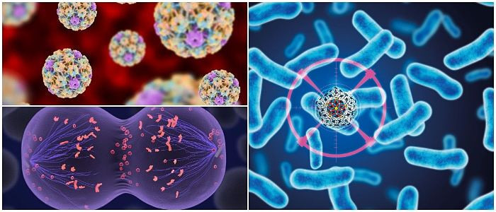 ¿Qué son los carcinógenos y los mutágenos?