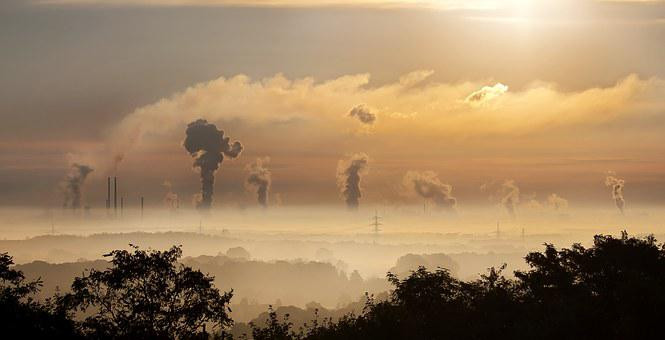 La contaminación y sus tipos